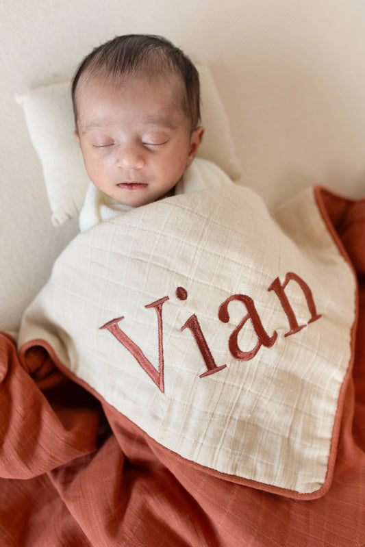 Two Sided Blankets, Organic Muslin, Checks, 4 Layer