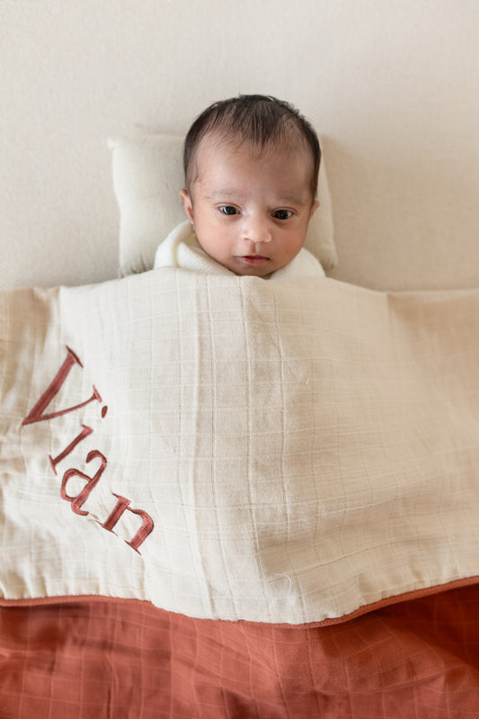 Two Sided Blankets, Organic Muslin, Checks, 4 Layer